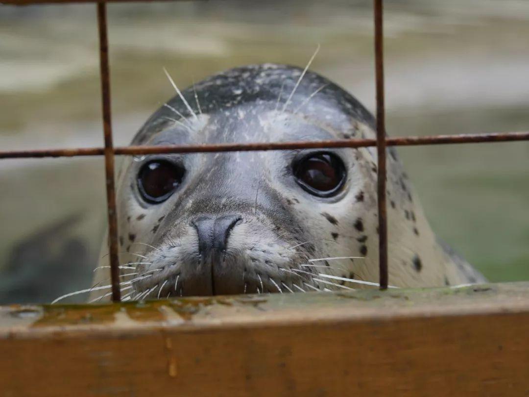 看了这些萌点各异的照片之后, 网友表示: 动物园还能这么逛?