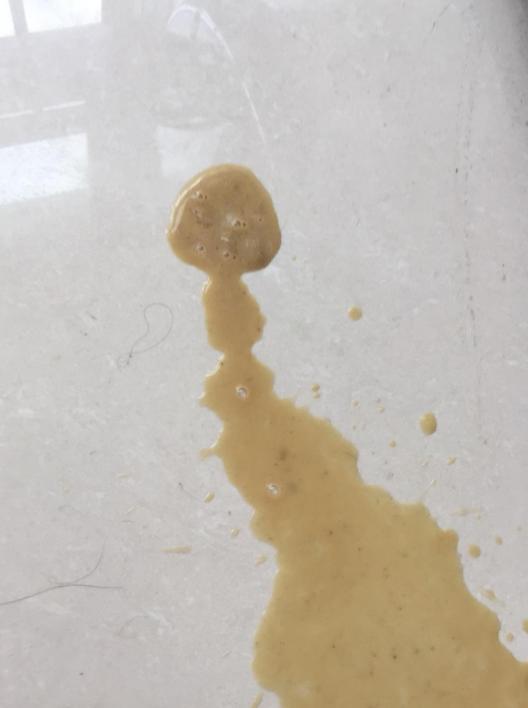 狗狗呕吐黄沫子怎么办?