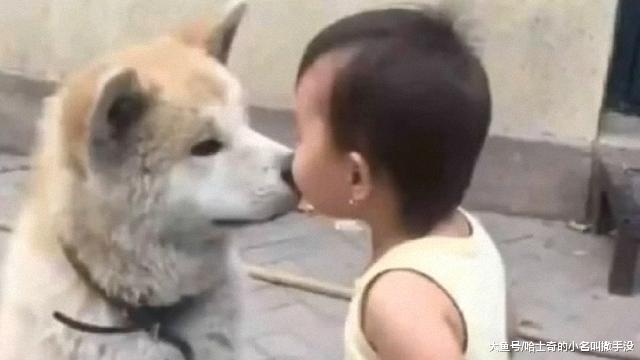 小主人很生气的教训小狗, 结果下一秒就张不开嘴了, 好聪明的狗