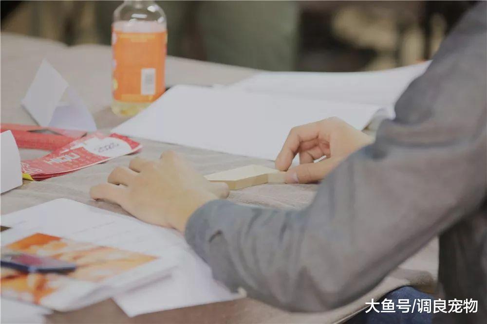80期《调良宠物行为与正向训练专业培训班》开课了!