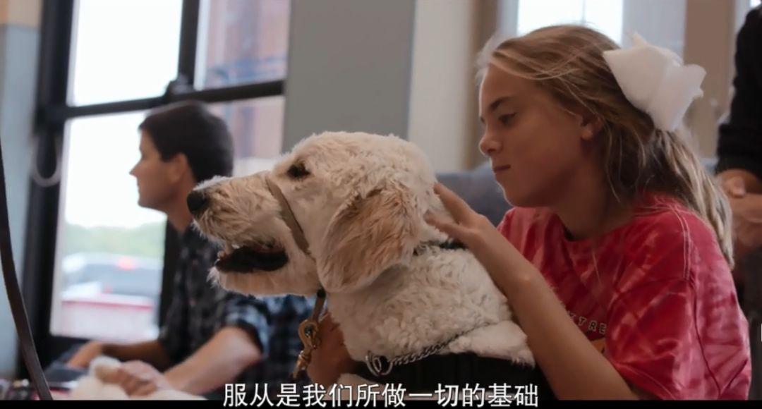 别人总是异样地看着我, 直到我带了狗狗