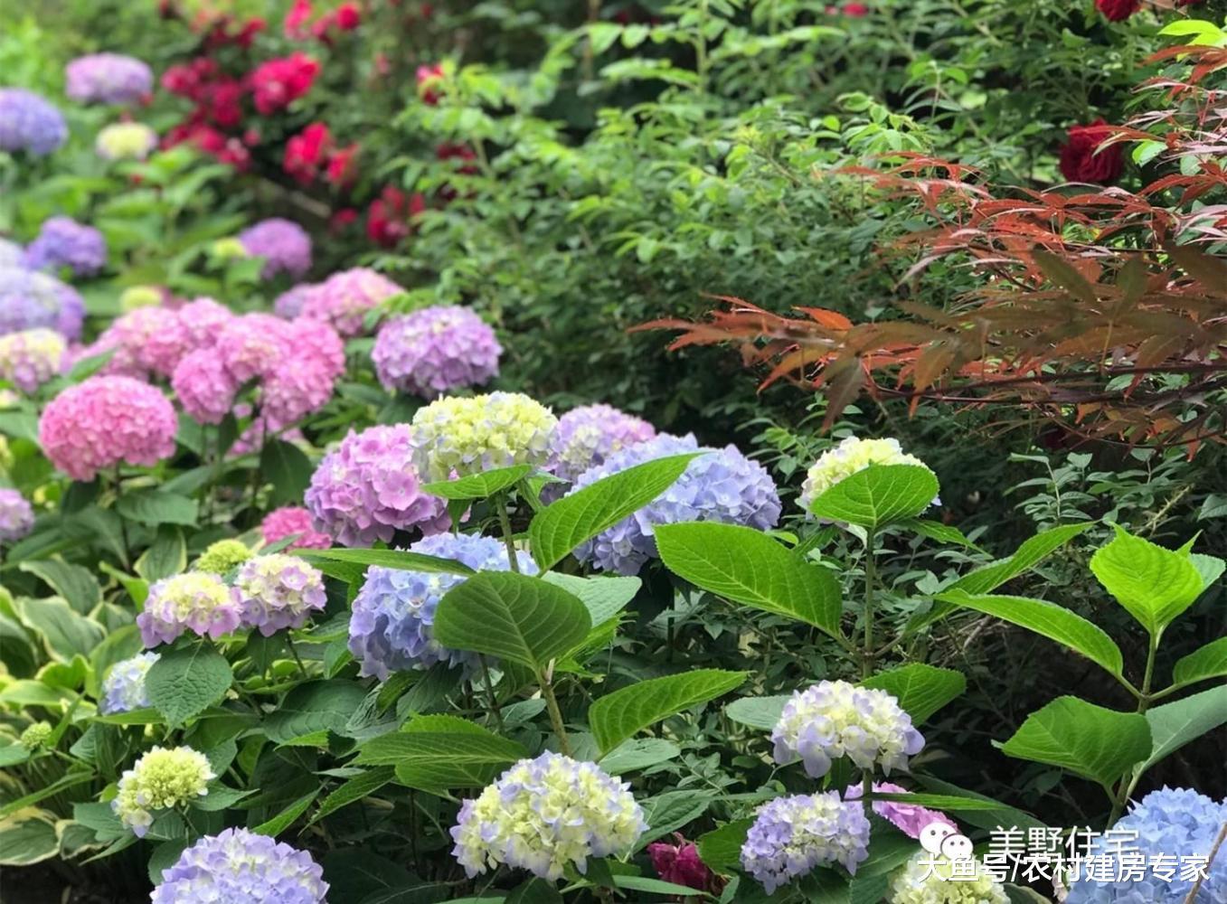 不顾全家反对, 花光积蓄打造农村中式庭院, 值得吗?
