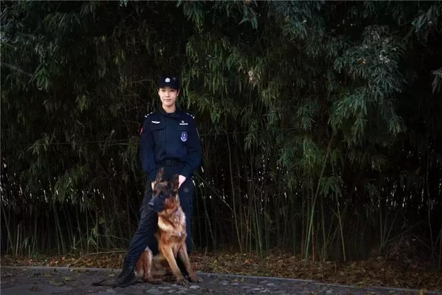 警犬德牧每日陪伴警花, 在众多警察中屡立功劳, 被评杰出工作犬!