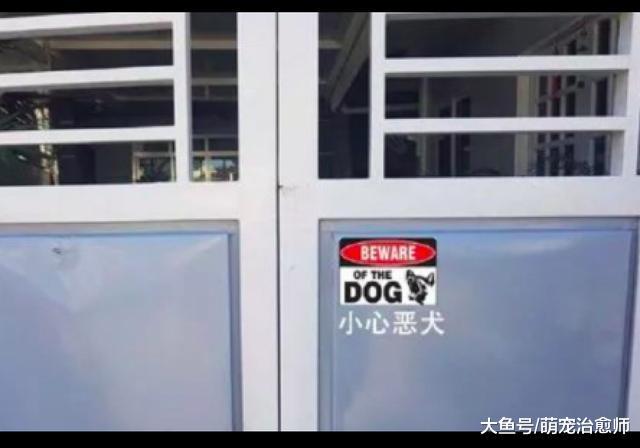 铁门上写着“小心恶犬”, 门口却是只小狗, 看到人还躲得远远的!