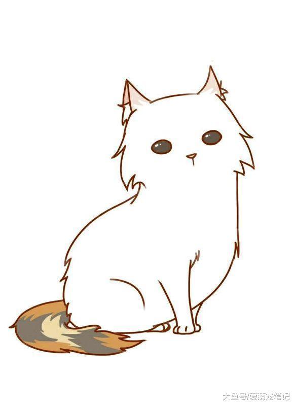 女孩晒出一只找领养的流浪猫, 网友: 这颜值, 丝毫不比品种猫差啊