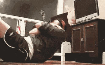 宠物GIF图: 我感觉自己家的猫中了邪!