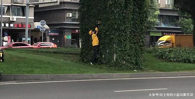 外卖小哥从高架桥下救出一只小猫, 把猫抱在怀里的样子好暖