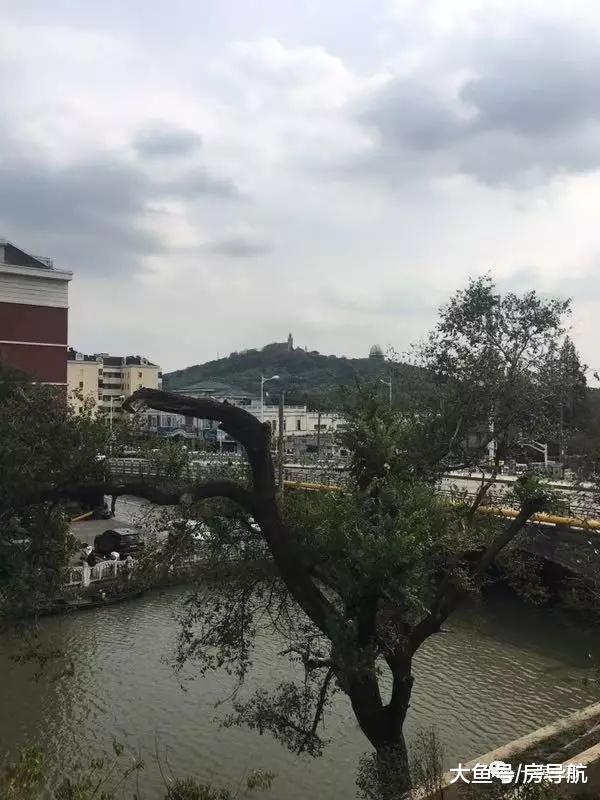 在上海35个新盘中, 你最中意哪一款? 疯狂打call中……