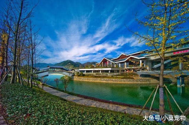 中国高铁献上年底“收官大礼”