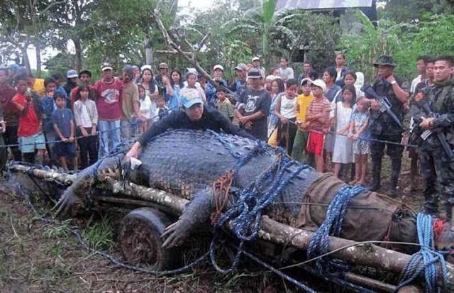 地球“真实存在”的6大巨型生物, 《山海经》里的山魈居然是真的?