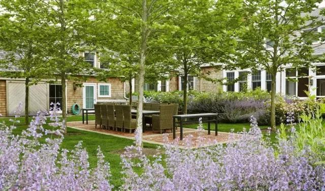 给我个院子, 我就让它美成这样!