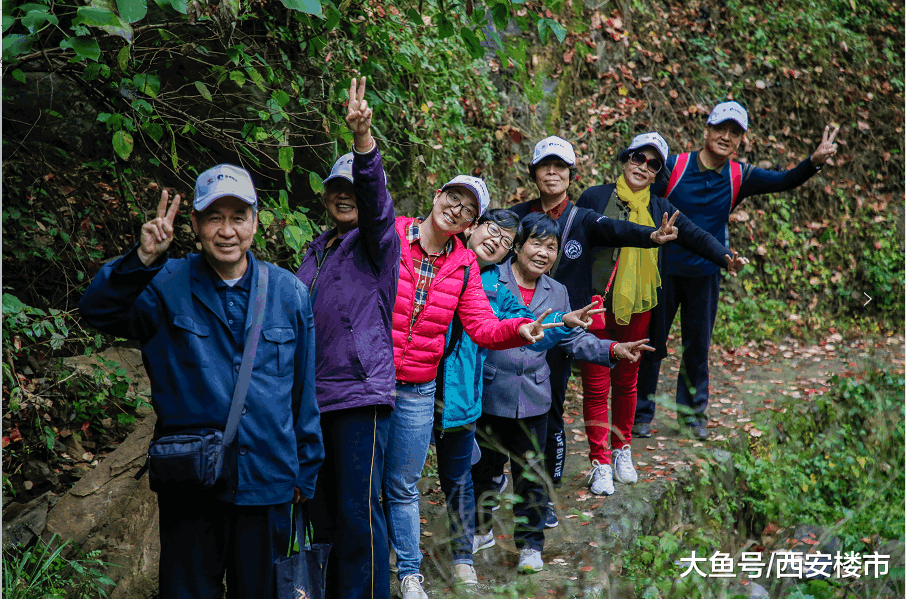 拥抱鲜氧 登高敬老