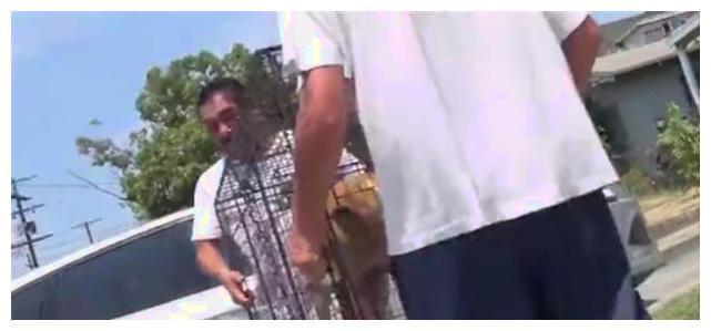 流浪狗宁愿饿到吃了一肚子石头, 也不远人类接近, 它的心思太无奈