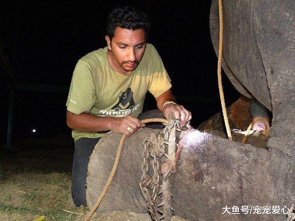 男子野外游玩, 发现木屋里传来奇怪声音, 进去后看到虐心画面