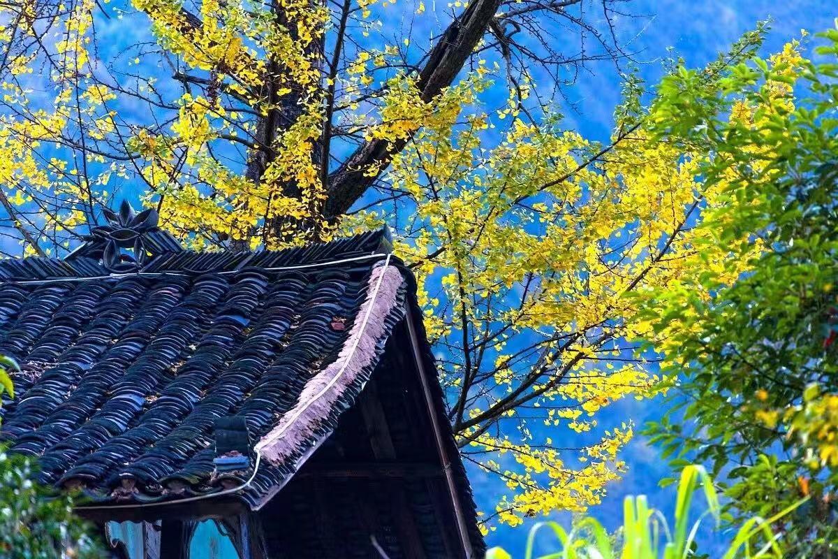 棚改, 帮助三四线城市去库存, 还拉动和房地产相关行业的发展