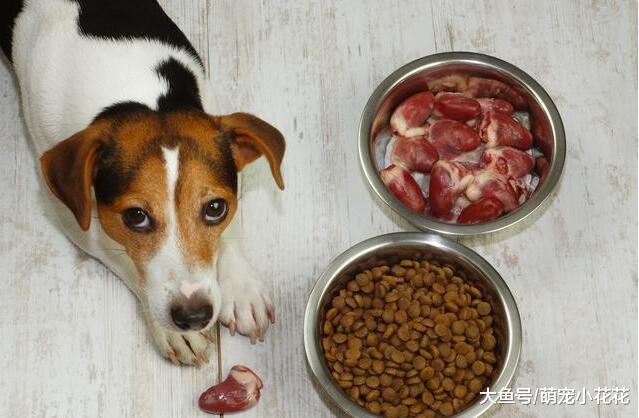 慢性“杀狗”的6件事, 你中枪了吗?