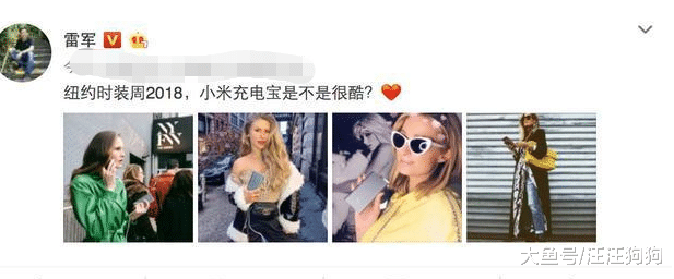 雷军引以为豪, 小米充电宝成时尚界新宠, 名媛名模都力捧