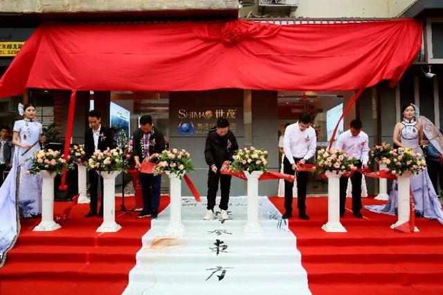 福建华亚再携世茂, 地产版块再筑发展新篇章