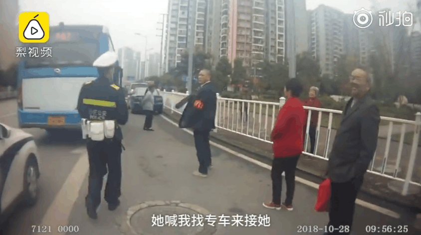 女子带狗上公交, 还谎称自己狗狗是保护动物, 向警察要打车钱