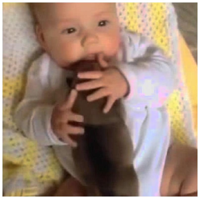 小狗狗想亲近小主人, 它的热心造成了误会, 还把家长给雷得不轻