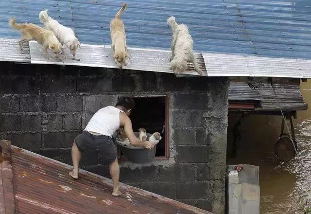 9个人与动物最感人的瞬间, 你能忍到第几个不哭?