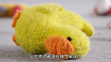狗狗能记住多少个单词? 它们的聪明你想象不到!
