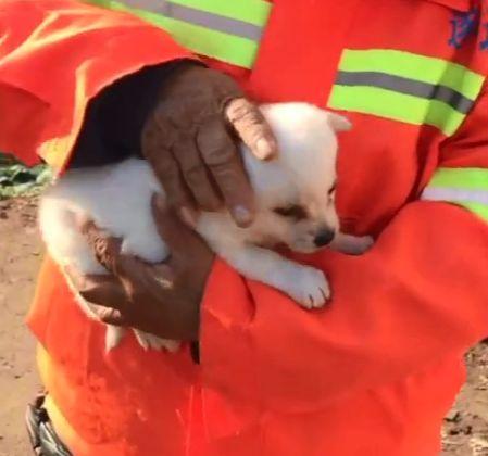 环卫工大叔抱着一只小奶狗, 并掏出十块钱: 你愿意收养它吗?