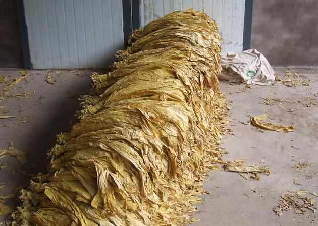 中华烟在美国卖出“白菜价”惹怒中国游客, 其实原因出在这里