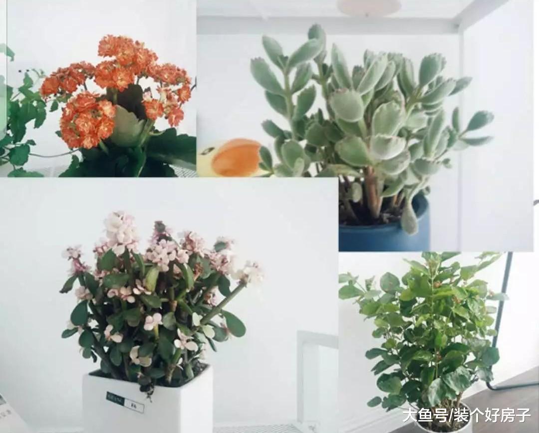 成都小夫妻打造87㎡北欧风的家, 只用两面玻璃墙, 暗厨一秒变通透!