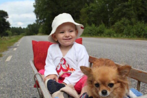 狗狗: 主人我走了, 你们晚安, 我不能再陪伴你了