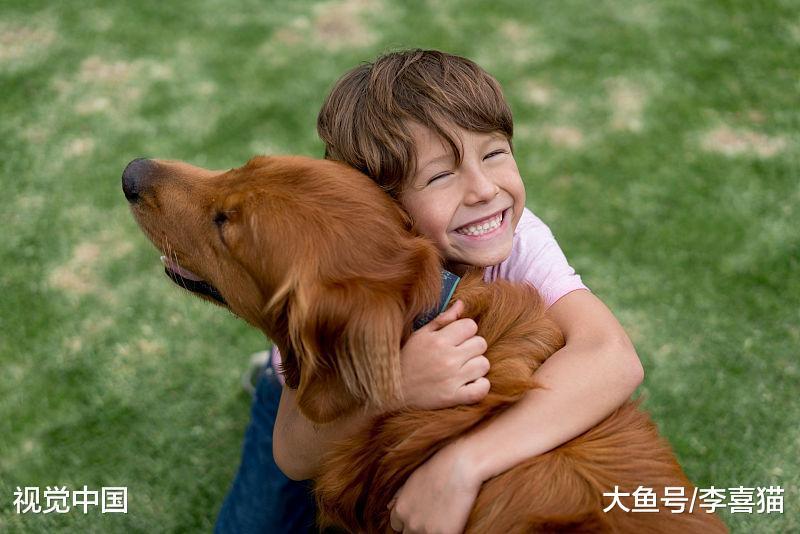 有稳定的经济来源是养猫咪狗狗的基础, 养宠物就要给它舒适的生活