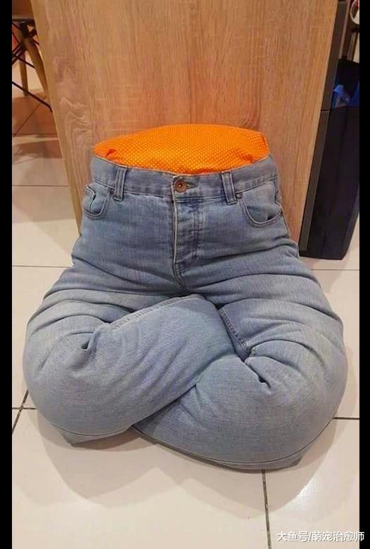 两只猫总喜欢趴在腿上, 于是主人用牛仔裤做了个猫窝, 有点吓人呀