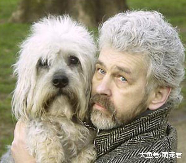 家里的狗狗非常喜欢和主人一起睡觉, 这是为什么呢?