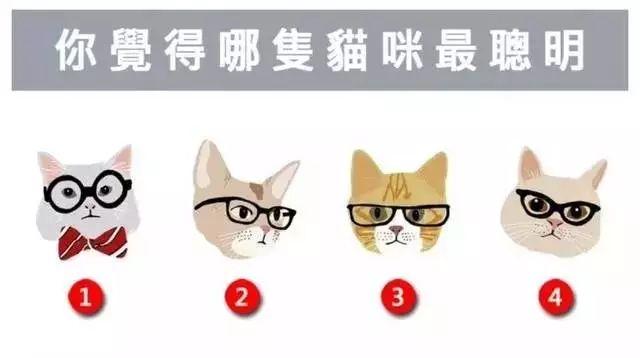 4只猫咪选一只, 一下看穿你的情感路哦!