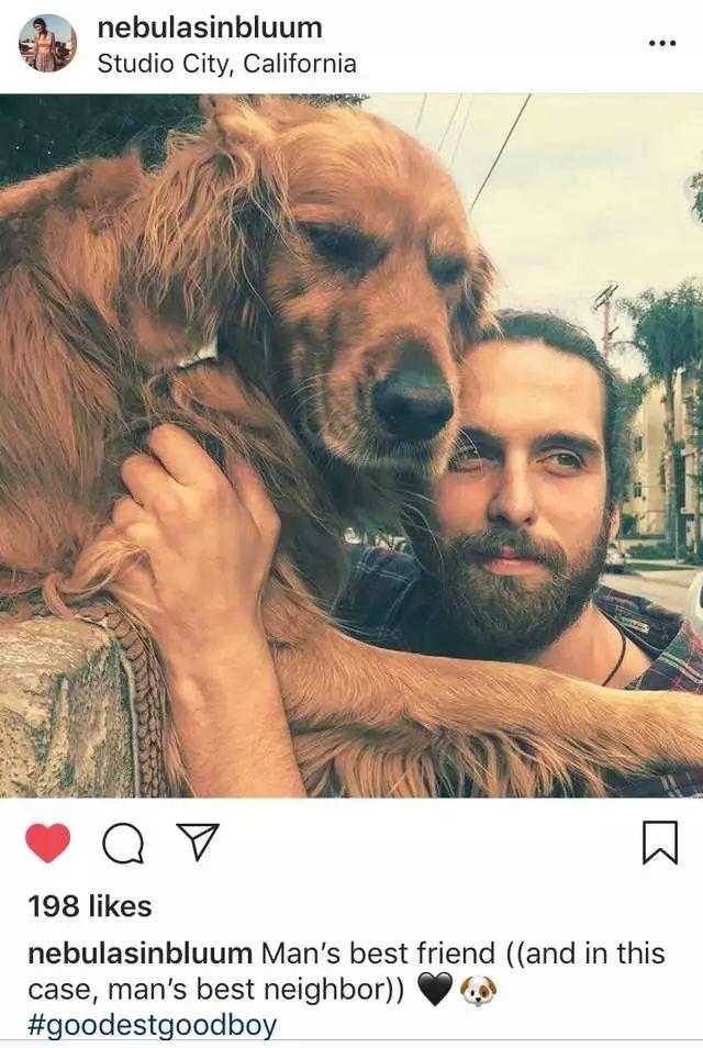 超级自来熟又好客的大金毛, 每天的乐趣就是趴墙头撩路人!