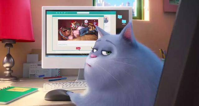 宠业简报|特斯拉研发车内“狗狗安全模式”