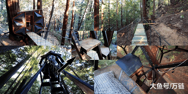 有人用33天失恋, 有人用33天造了个5.2吨的房挂树上