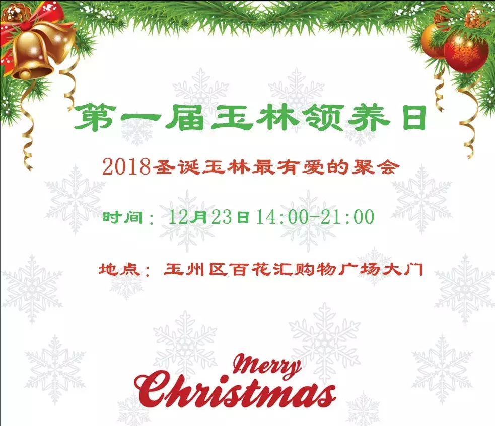“玉林领养日”刷爆朋友圈……终于在黑暗中看到了一点光明!