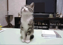爆笑GIF: 本来想耍个漂移的, 结果掉沟里了