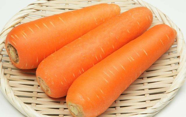 兽医提示: 狗狗有这“5个迹象”, 说明要驱虫了, 刻不容缓!