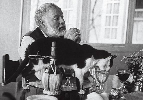 他曾获诺贝尔奖, 娶过四位妻子, 最后被猫毁灭