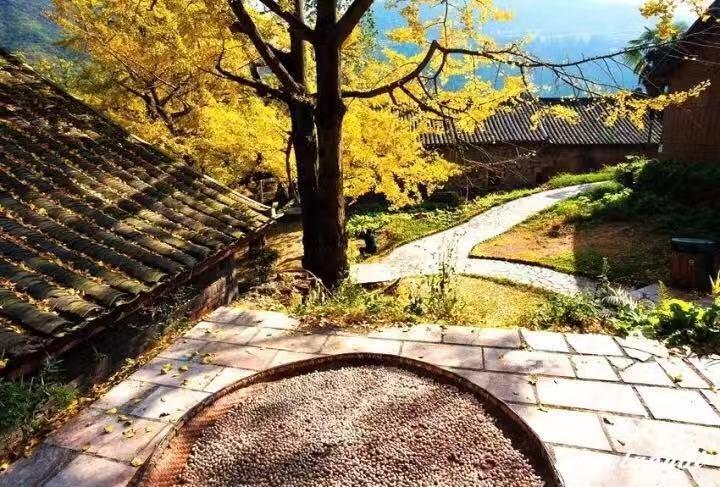 棚改, 帮助三四线城市去库存, 还拉动和房地产相关行业的发展