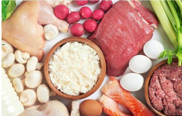 边牧吃什么牌子狗粮好?