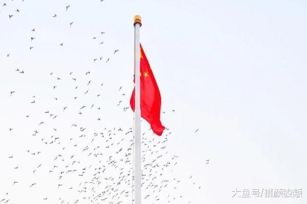 迎着新年第一缕阳光 见证2019年第一次升国旗仪式庄严时刻