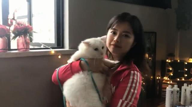 小白猫被弃养后患上抑郁症, 被暖心姑娘收养后, 猫咪体重翻番!
