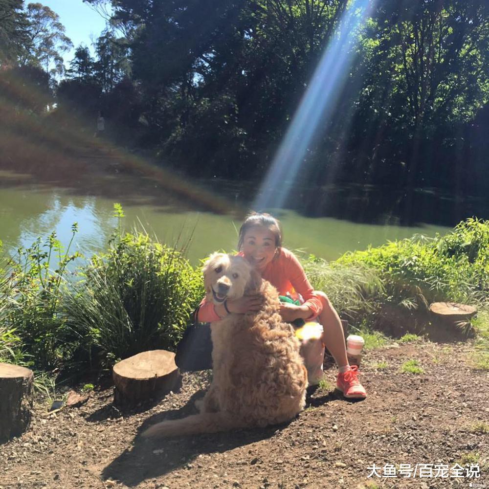 金毛相伴主人8年误服老鼠药身亡, 疑似邻居对其不满狠下毒手