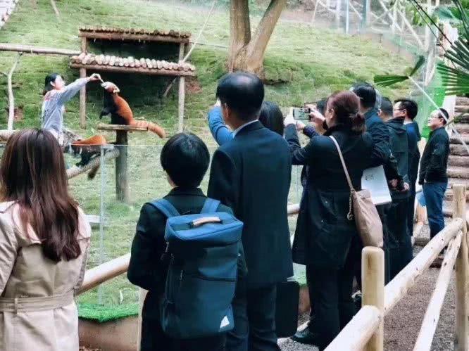 【森林康养年会】“森林康养+生态旅游分论坛”圆满落幕三郎