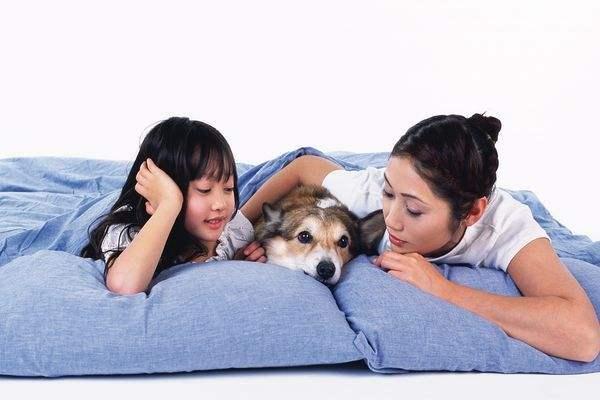 5个原因告诉你, 最好不要和汪星人一起睡觉!