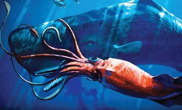 现代海洋十大霸主, 最强大的海洋生物绝对实至名归