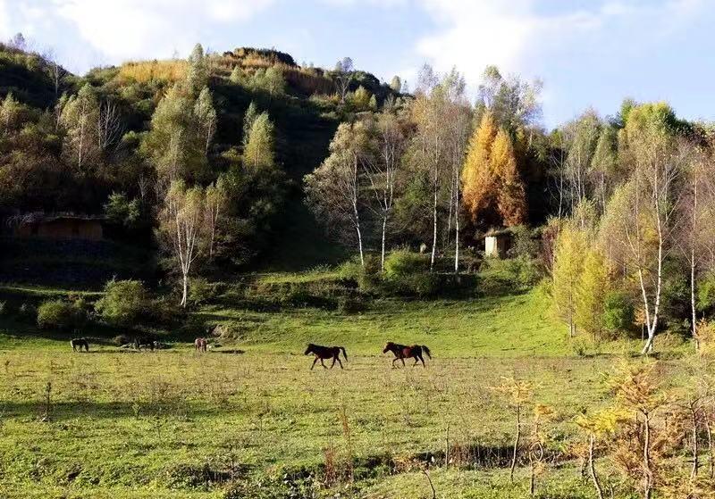 “国际庄”的名号, 到底是梦想还是玩笑